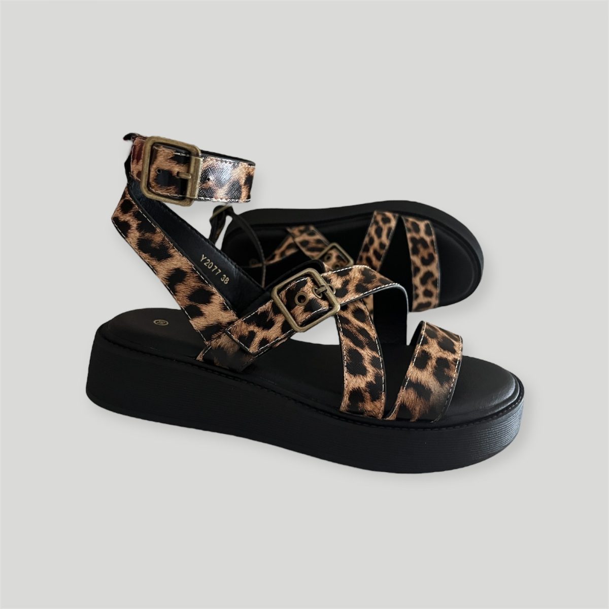 leopard