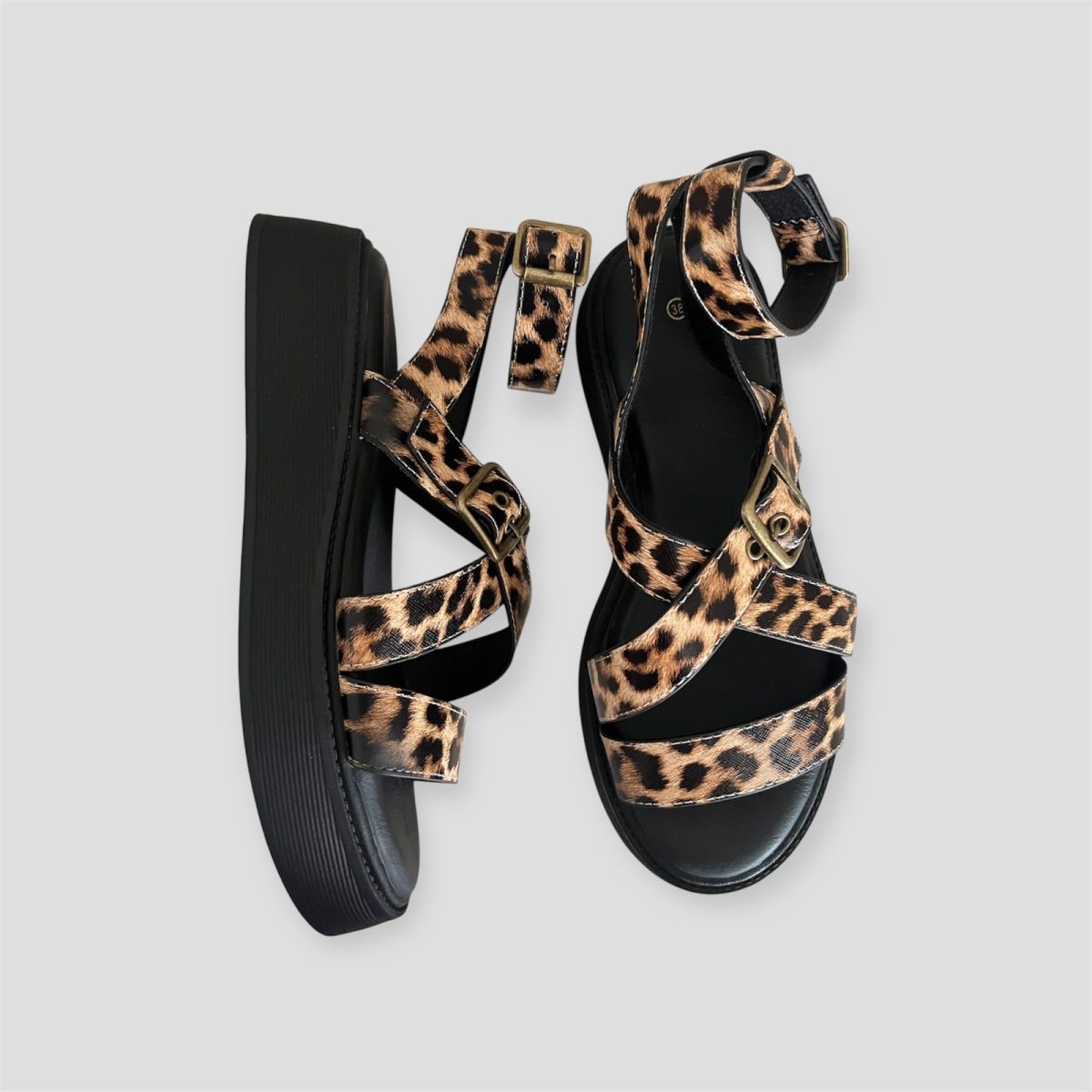 leopard 2