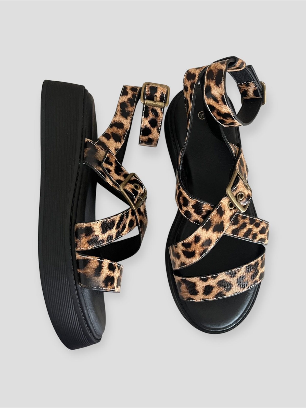 leopard 2