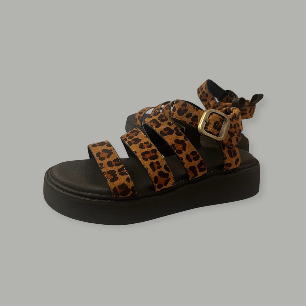 leopard 4