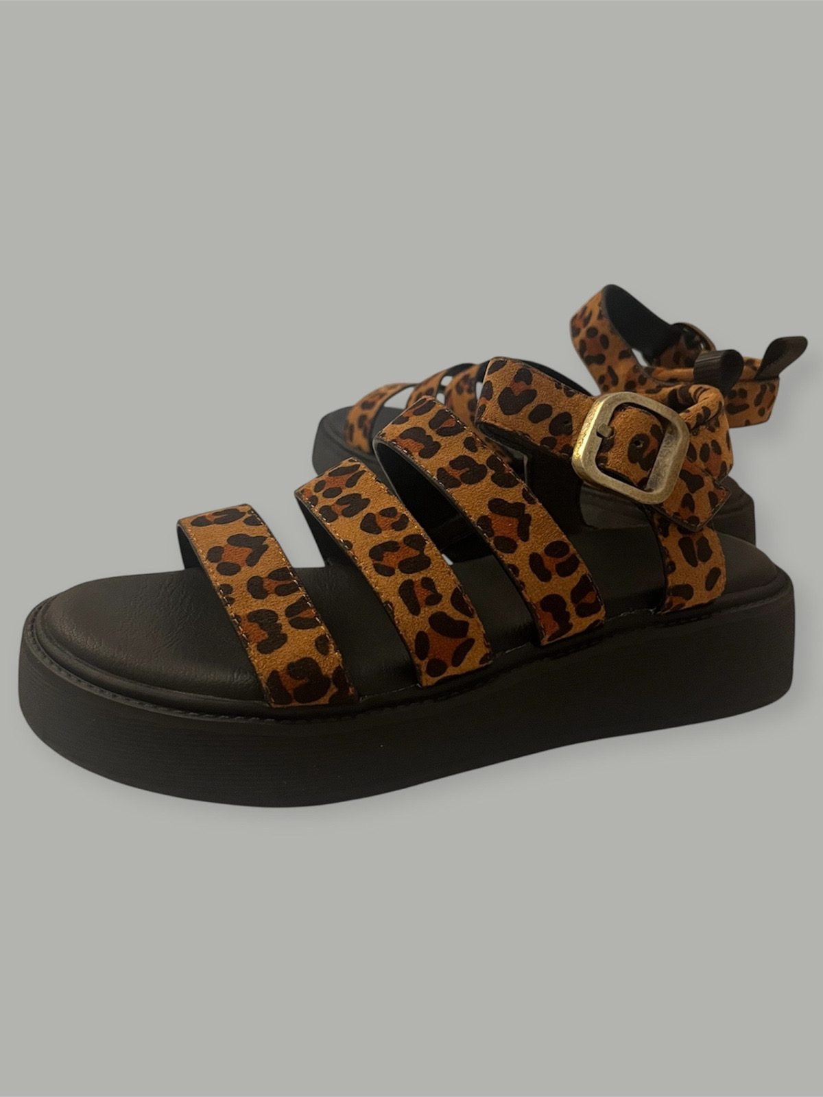 leopard 4