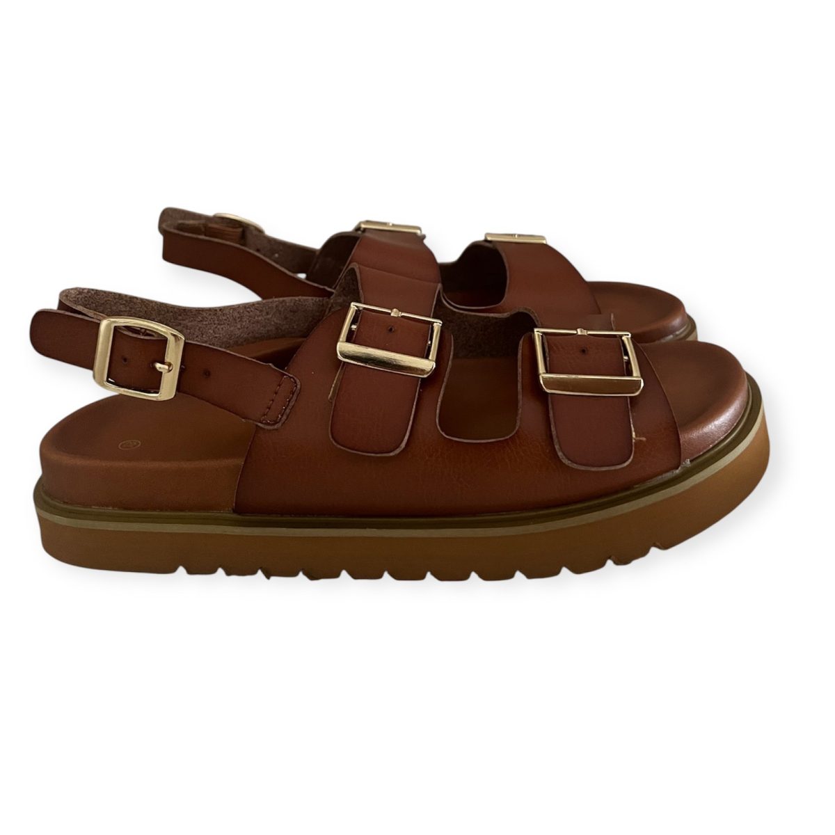 camel2