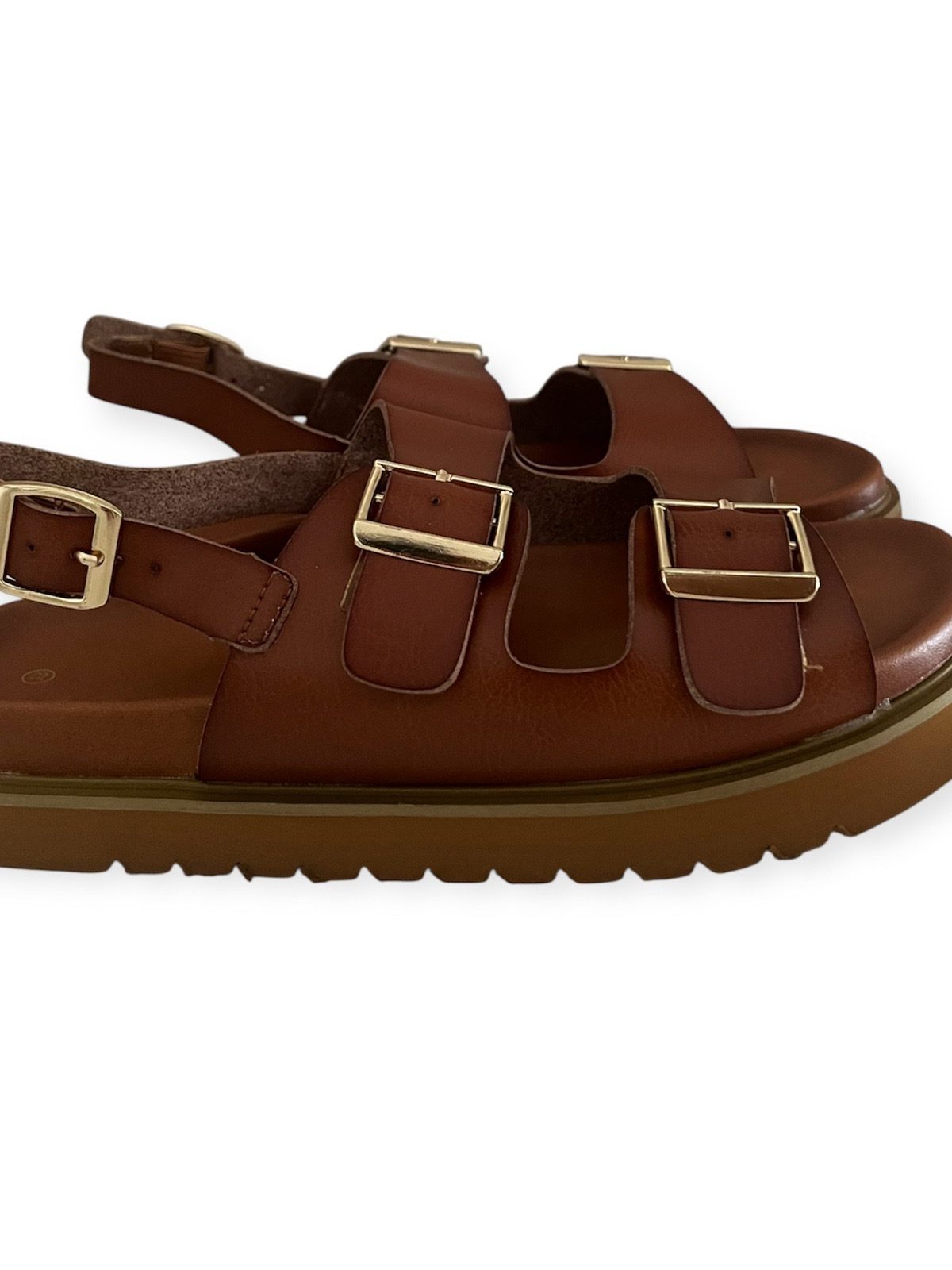 camel2