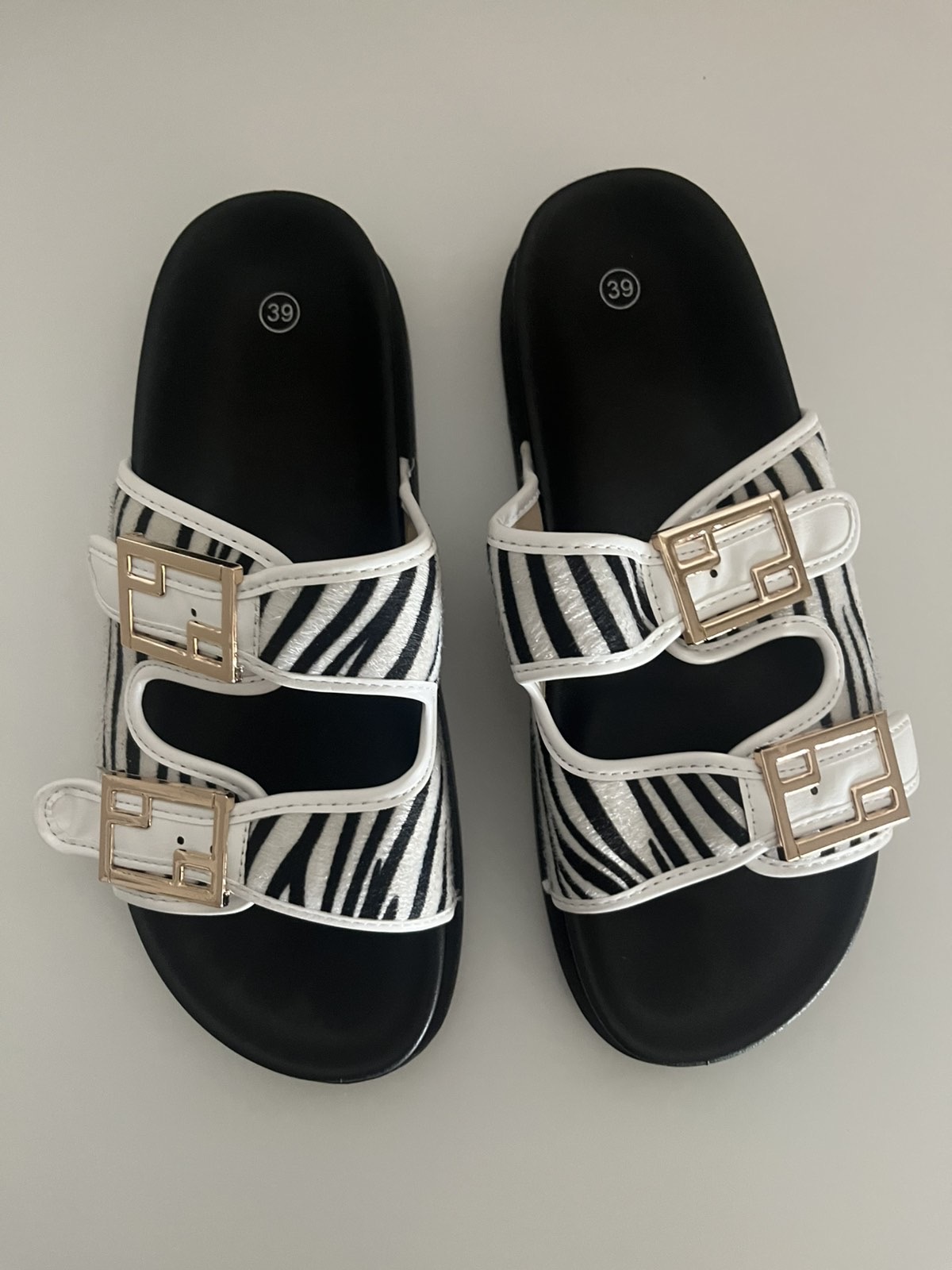 zebra